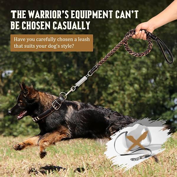 4FT Läderkoppel och Halsband Set för Hund, Full Grain Läder Halsband och Starkt Handvävt Flätat Koppel, Robust Hundträningskoppel för Promenader