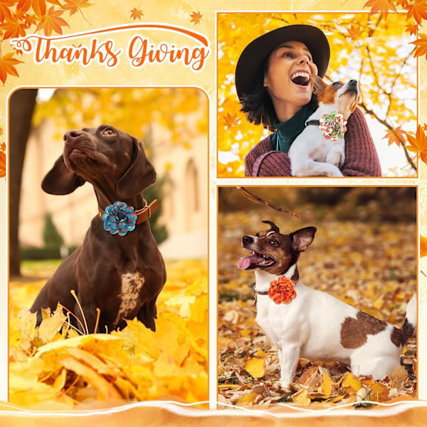 30 stk høst hundekrage blomster bulk Thanksgiving kjæledyr blomst krage sløyfer ferie hund tilbehør lysbilder vedlegg dekorasjoner for små