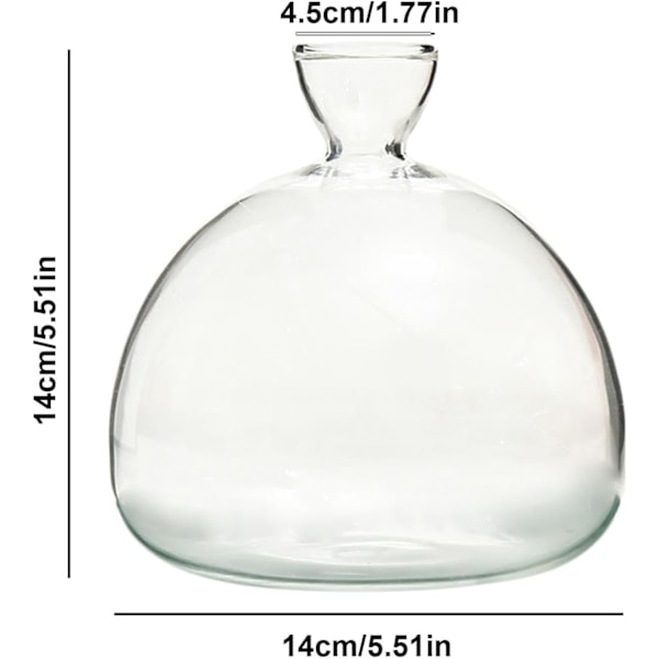 Avocado Seed Starter Vase Planter, Clear Avocado Seed Sprout Planter Pot, Avocado Tree Growing Kit, Small Glass Vase for Flowers, for Gardening A A