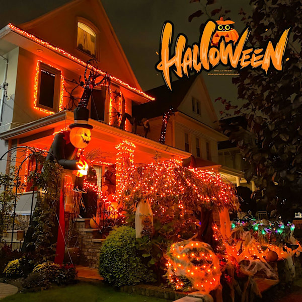 Orange Halloween-lys til udendørs brug - 200 LED-lyskæde til indendørs brug, 8 tilstande, 66ft udvidelige Twinkle-lys til stikkontakt til Thanksgiving Carnival Patio
