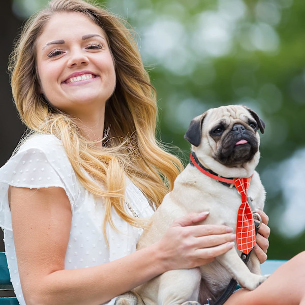 100 stk hund sløyfe slips sett inkluderer 50 slips og 50 sløyfer justerbar katt hund sløyfer slips for små mellomstore hunder valp katt Hawaii