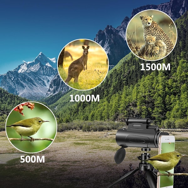 80x100 HD Monokulär - Högeffekts Teleskop med Telefonadapter & Stativ | för Jakt/Fågelskådning (Svart)