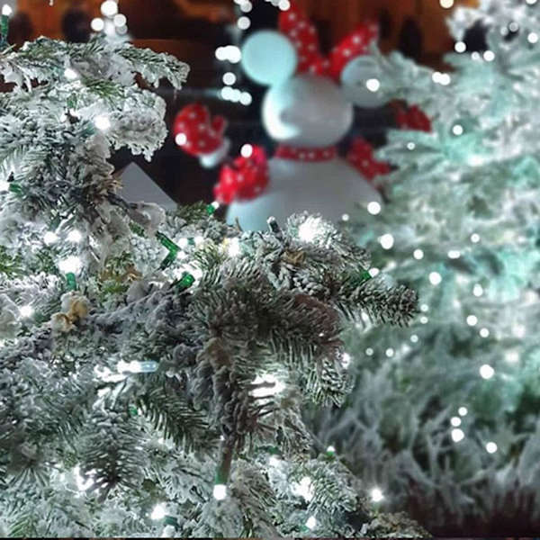 Hvite ekstra lange 2-pakker Hver 72ft 200 LED solstrenglys utendørs, vanntett grønn ledning 8 lysmoduser soljulelys for hage