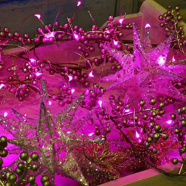 2 Pakke Solcelledrevne Eventyrlysstrenger Utendørs Vanntett 8 Moduser Blinkende Juledekorasjonslys, Hver 33ft-100LED, 40ft-120LED, Rosa