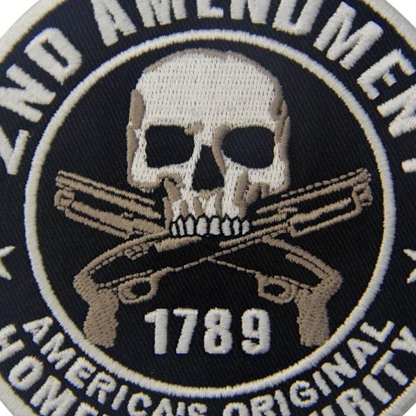 Homeland Security 2. patch - broderet stryge- eller sy-på emblem