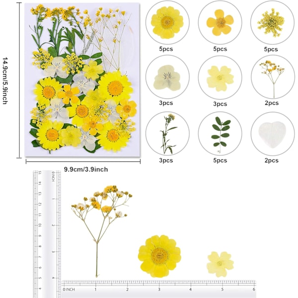 Tørrede pressede blomster, naturlige tørrede blomster, ægte pressede