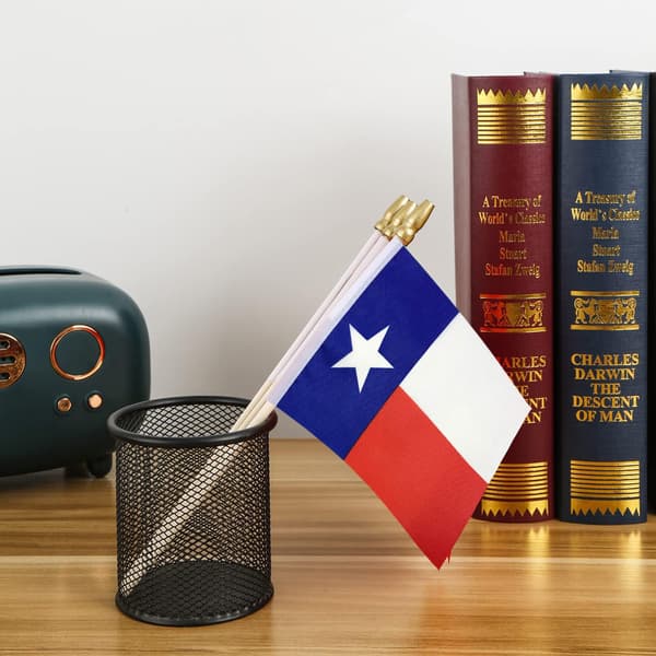Texas delstatsflagg mini små håndholdte pinneflagg 4x6 tommer 12-pakning