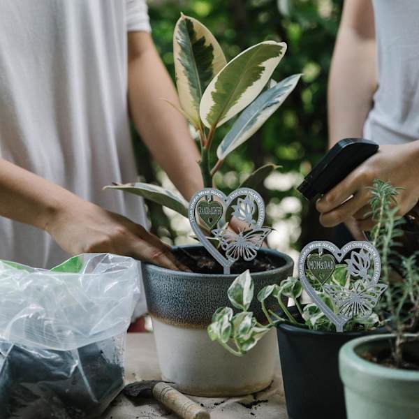 Mindeplade Sommerfugl Ornament - Hjerteformet Havemindegave