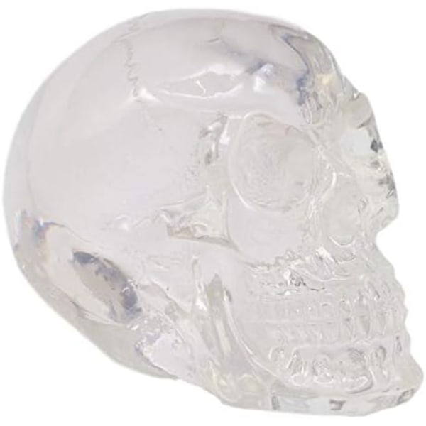 Ebros Gennemskinnelig Heksetime Stirrende Kranie Miniature Figur 2,5\" Lang Lavet Af Akrylharpiks Okkult Heksekunst Helligdom Kranium Dekorative Kranier