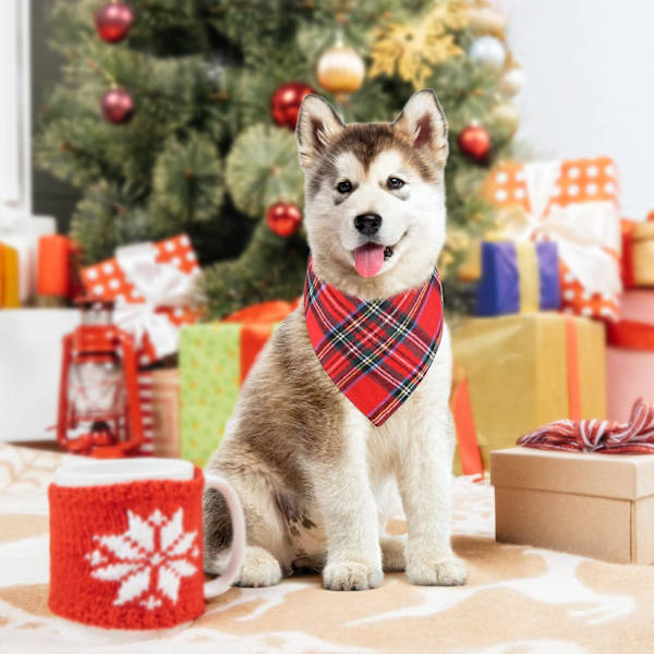 2-pack hundbandana jul klassisk rutig husdjursscarf triangelhaklappar