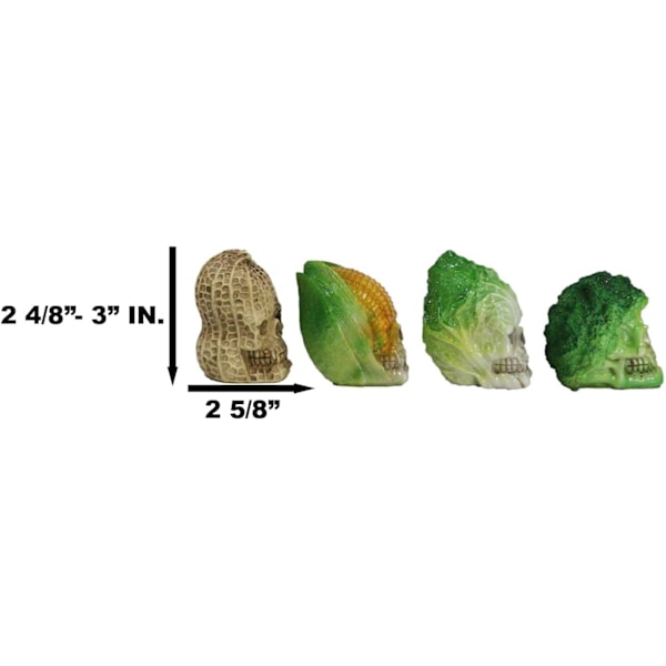 Ebros Grøntsagssund Salat Producer Majs Majs Broccoli Napa Kål Jordnødde Kranier Mini Figurer Sæt af 4 Skelet Hoved Kranium Bizarre Ossuary