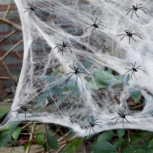 Halloween spindelvævsdekorationer med uhyggeligt stof og edderkopper