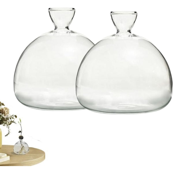 Avocado Seed Starter Vase Planter, Clear Avocado Seed Sprout Planter Pot, Avocado Tree Growing Kit, Small Glass Vase for Flowers, for Gardening A A