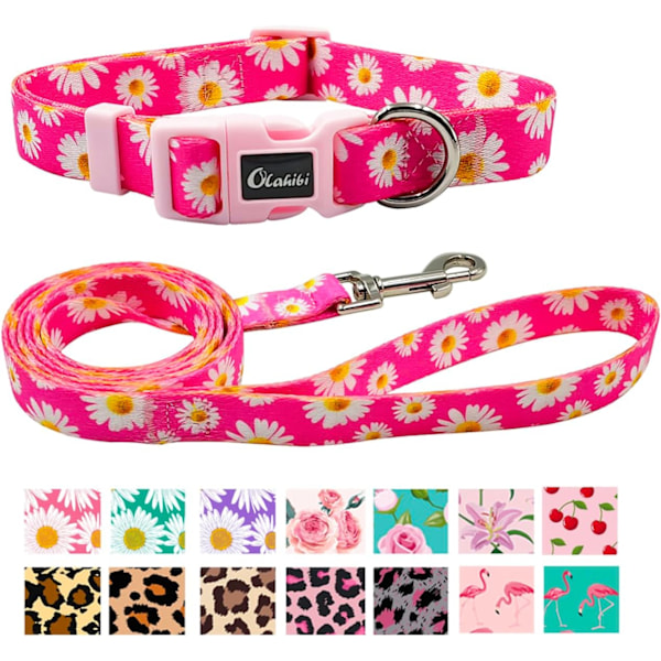 Dog Collar and Leash Set, Cute Pink Daisy Pattern, Polyester Material, 5ft Leash, for Puppy Dogs.(XS, Daisy Set) Daisy Hot Pink Extra Small Daisy