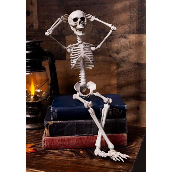 Poseable Skelet 20 tommer