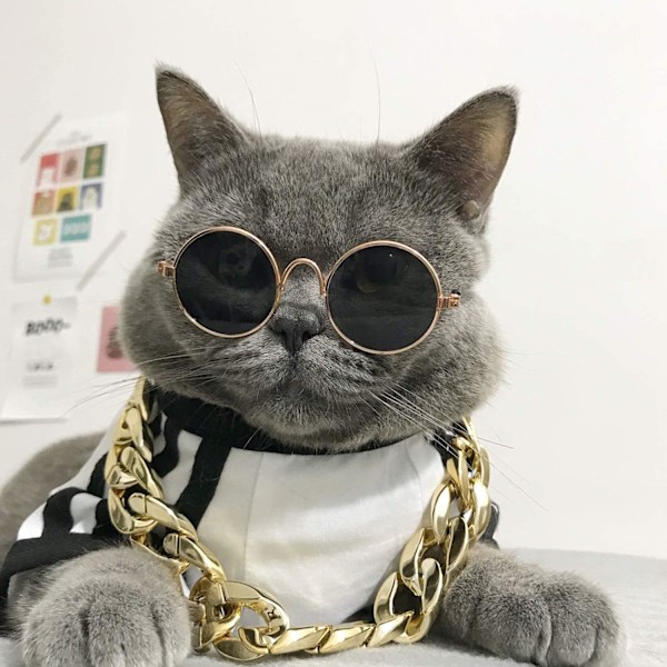 Kattebriller, 2 stk. Cat Glasses Cat Gold Chain og Cat Solbriller