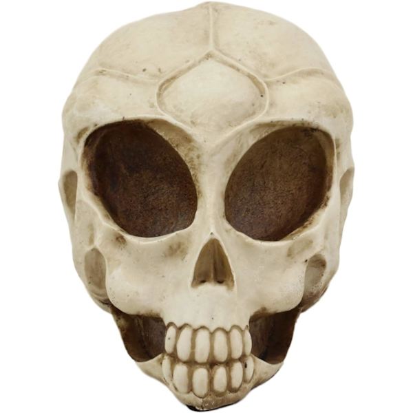 Ebros Roswell UFO Alien Honeycomb Elongated Skull Statue 8\"Lang Ekstra Terrestrial Skelet Monster Hoved Alkymi Ossuary Macabre     Dekorativ Multi