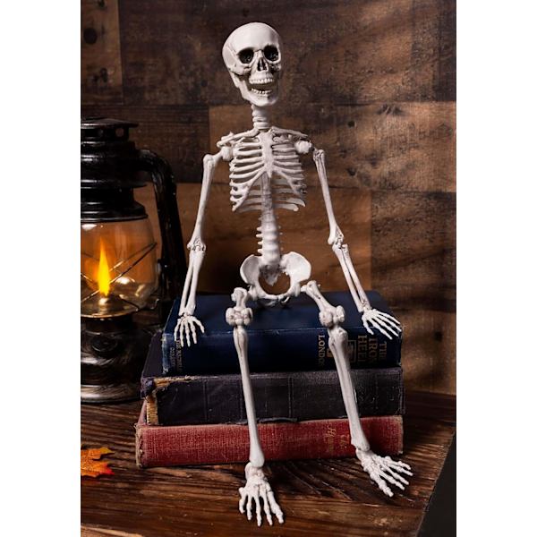 Poseable Skelet 20 tommer