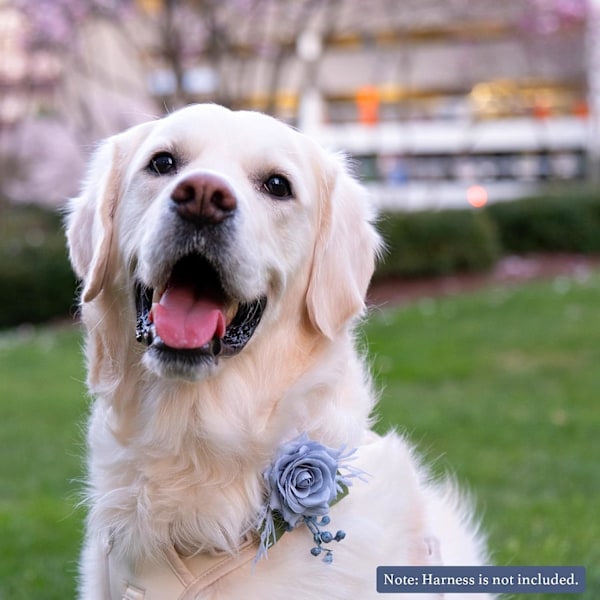 Blomster til hundekrage - Blomster til bryllup for hund - Blomsterslips til hund - Blomster til krage - Avtakbar blomst til kjæledyr - Blomstertilbehør til hundekrage for bryllupsseremoni