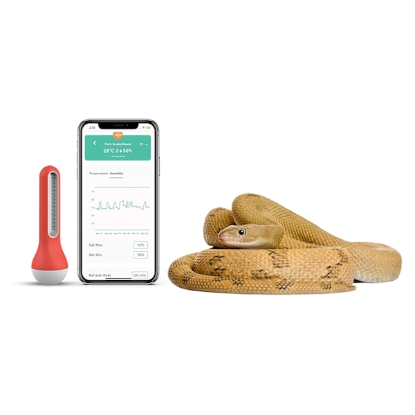 Trådlös termometer hygrometer Bluetooth/Wifi-anslutning