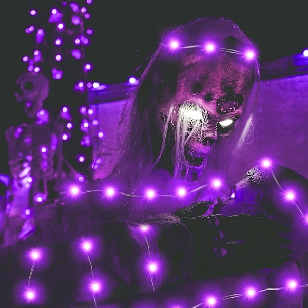 4 set 75LED 24,6ft Halloween lila älvljus batteridriven med fjärrkontroll, 8 lägen silvertråd blinkande ljus för Halloweenfest