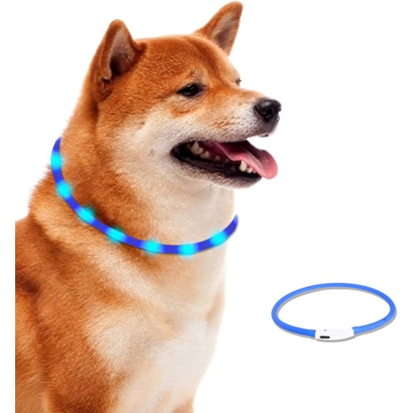 LED-halsbånd for hund - USB-oppladbar lysende krage for synlighet om natten