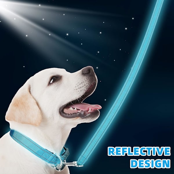 6 sett reflekterende hundebånd og halsbånd sett, nylon hunder bånd justerbar hundekrage heavy duty polstret håndtak hundebånd for små mellomstore store