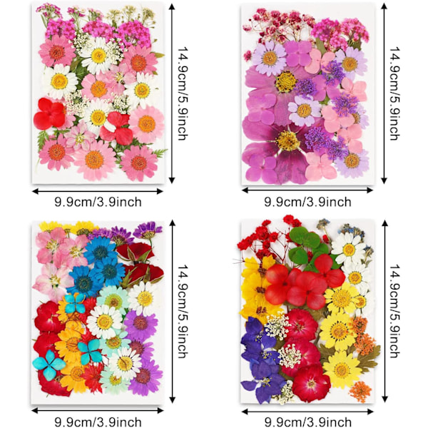 Tørrede pressede blomster, 141 stk Augshy naturlige tørrede blomster