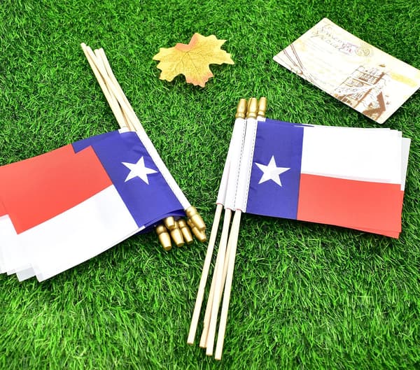 Texas delstatsflagg mini små håndholdte pinneflagg 4x6 tommer 12-pakning