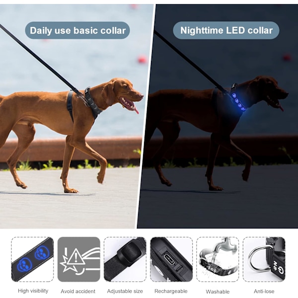 Nyaste LED-halsband för hund för nattpromenader, dödskalletryck, uppladdningsbara lysande halsband, mjukt silikonhalsband, lysande hundhalsband för små 8