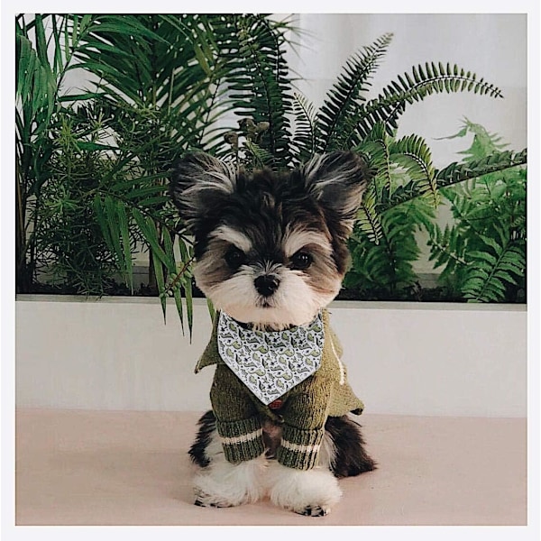 Hundbandana, Bomullsbandana för hundar, Triangulär haklappsscarf för små till stora hundar