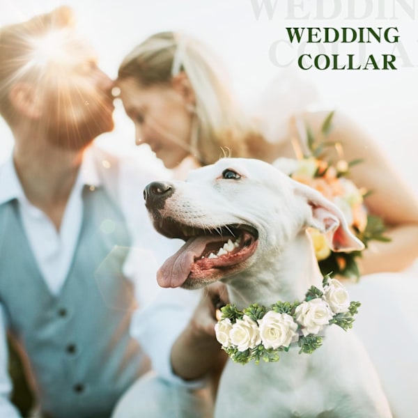 Hunde bryllup blomster krave hund bryllup påklædning krans bue, til bryllupper blomster ring kæledyr katte og hund, kæledyr foto rekvisit (Stor, Hvid, Elegant) som as