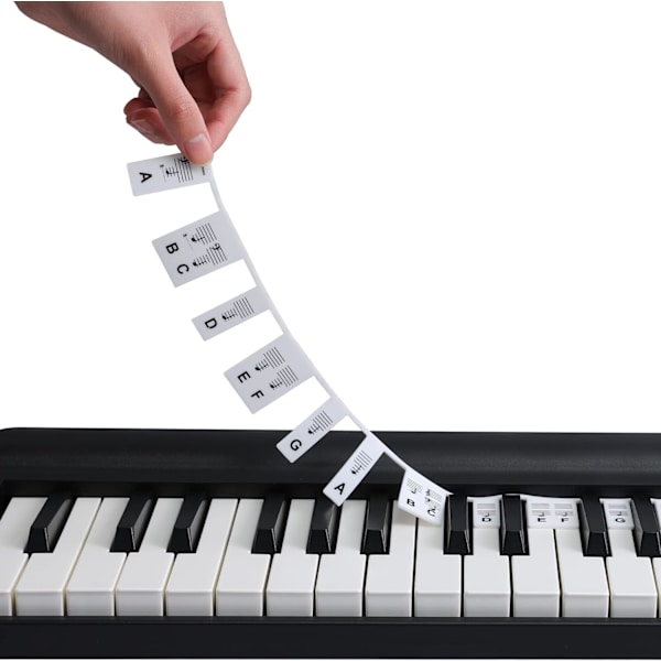 Klaver Keyboard Noter Guide til alle 88/61/54/49/37 tangenter