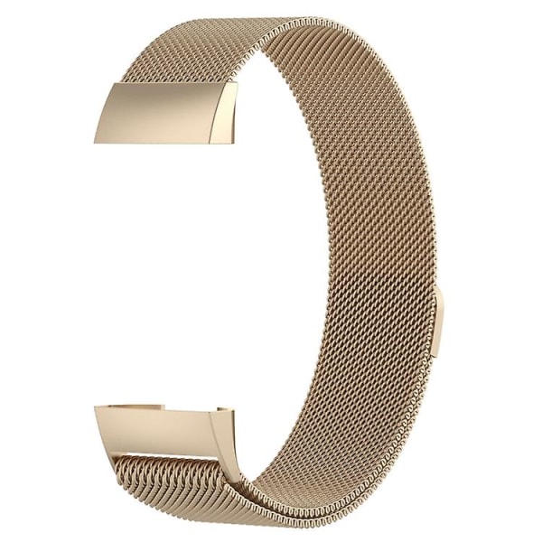 Rustfrit stål magnet urrem til Fitbit Charge 4 Stor størrelse: 210x18mm IBX Champagne Gold