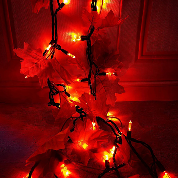 Juleoransje lyslenke T5 50 LED Halloween-lys, 120V UL, plugg inn T5 julelyssett 17ft grønn ledning koblingsbar for utendørs og innendørs