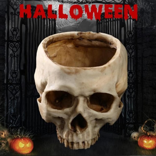 Ebros Caribien Jolly Roger Pirat Skattekiste Gotisk Sølv Sort Homosapien Kranie Askebæger Statue 4.5\" Høj Nautisk Ossuarium Makaber Halloween