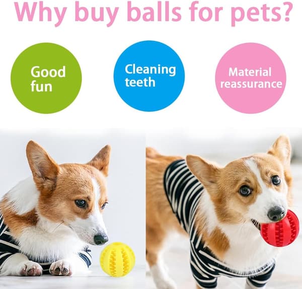 wxsp 4 stk. hundelegetøjsbold, robust hundebold, hundebold med bidefunktion, bideresistent hundelegetøj, naturgummi, hundefoderbold til små hunde