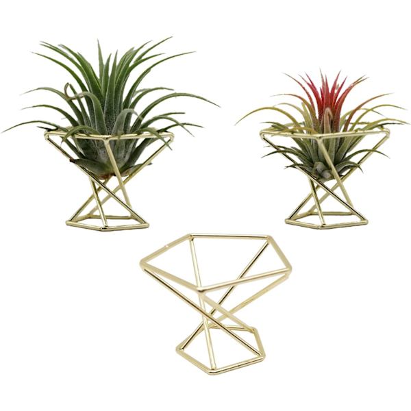 Geometrisk luftplanteholder (Guld 3 stk) - Metall Tillandsia Krukhylder