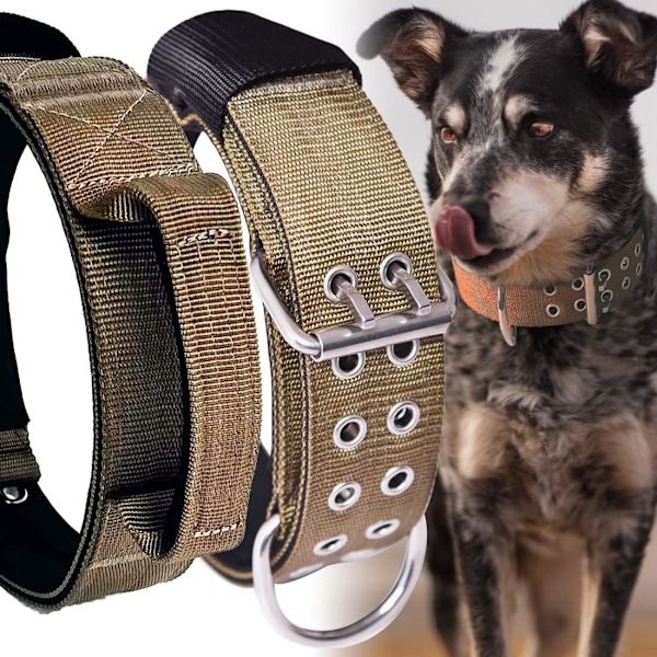 Large Dog Collar Heavy Duty - 2 inch Wide with Handle for Extra Large Breed Dogs, 1/3" Thick Nylon Chew Proof Tactical Collar, Good Choice for