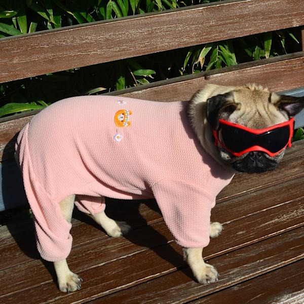 Hunde solbriller til små hunde solbriller Hund UV solbriller