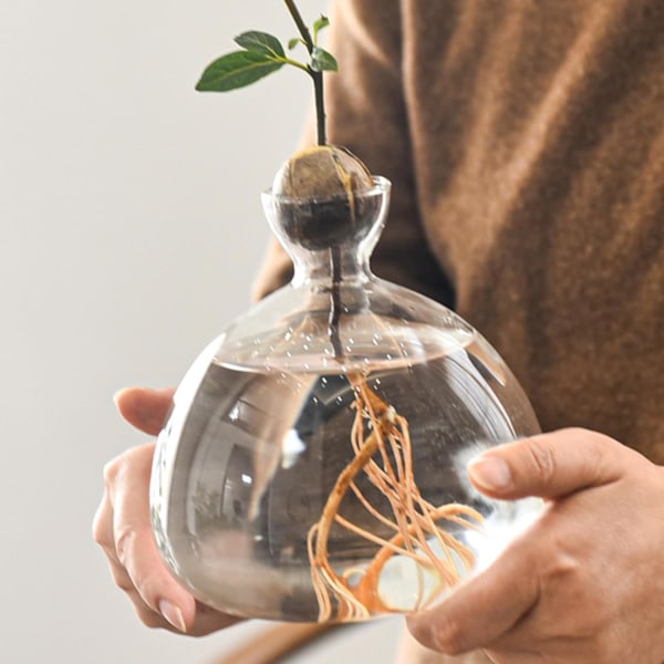 Avocado-frøstartervase-planter, gennemsigtig avocado-frøspireplanterpotte, avocadospiringskit, lille glasvase til blomster, til havearbejde A A
