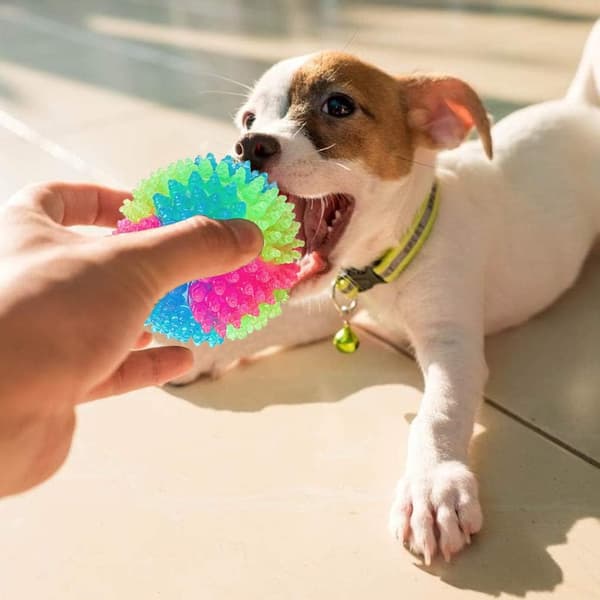 wxsp LED Hundebolde Lysende Hundebolde Lysende Elastisk Bold Kæledyrsfarvet Lysbold Glødende Bolde til hvalpe, katte, hunde (4 stk. plug-in)