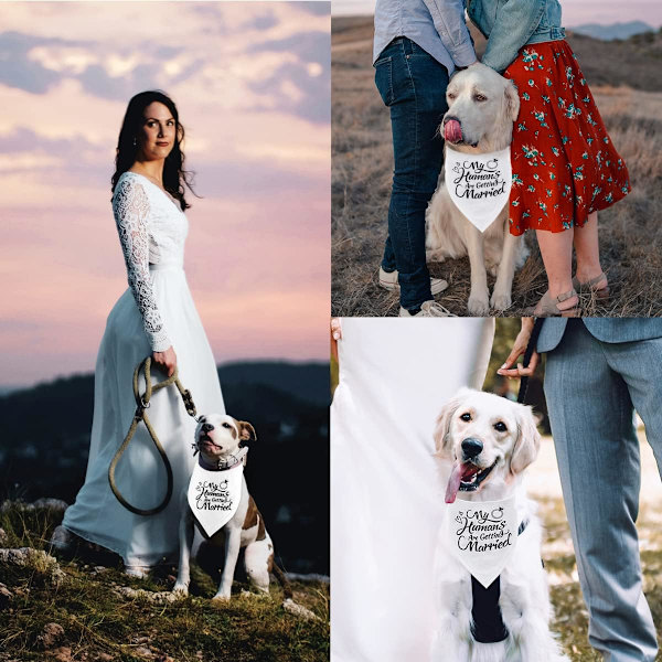 Förlovningsgåva Hundbandana - Bröllopsfotorekvisita och husdjursscarf