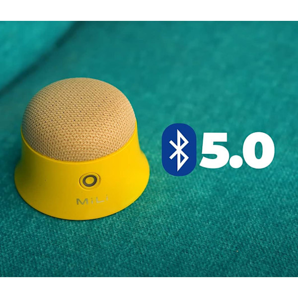 Små magnetiske bokse til Bluetooth-højttalere