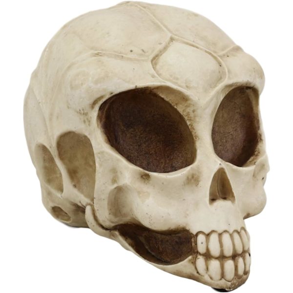 Ebros Roswell UFO Alien Honeycomb Elongated Skull Statue 8\"Lang Ekstra Terrestrial Skelet Monster Hoved Alkymi Ossuary Macabre     Dekorativ Multi