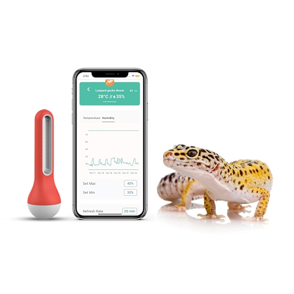 Trådlös termometer hygrometer Bluetooth/Wifi-anslutning