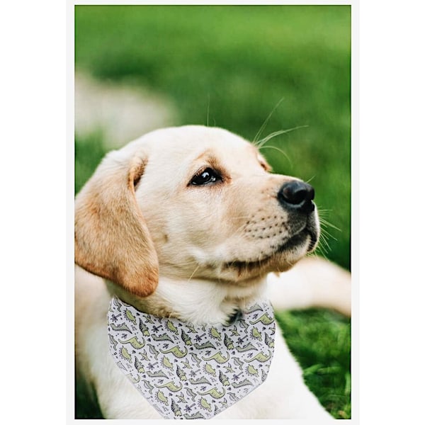 Hundbandana, Bomullsbandana för hundar, Triangulär haklappsscarf för små till stora hundar