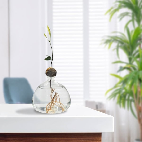 Avocado Seed Starter Vase Planter, Clear Avocado Seed Sprout Planter Pot, Avocado Tree Growing Kit, Small Glass Vase for Flowers, for Gardening A A