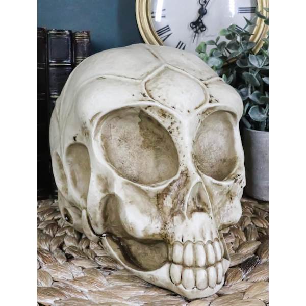 Ebros Roswell UFO Alien Honeycomb Elongated Skull Statue 8\"Lang Ekstra Terrestrial Skelet Monster Hoved Alkymi Ossuary Macabre     Dekorativ Multi