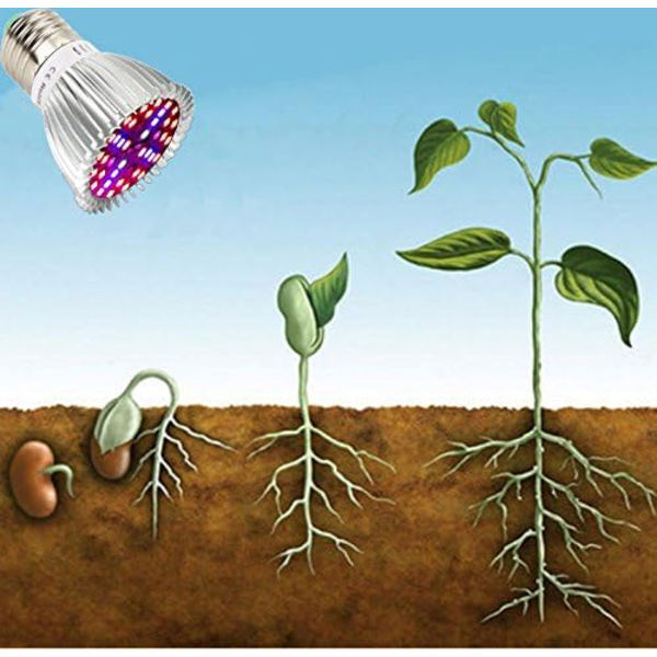 40W Full Spectrum LED Grow Light Pærer - Pakke med 4